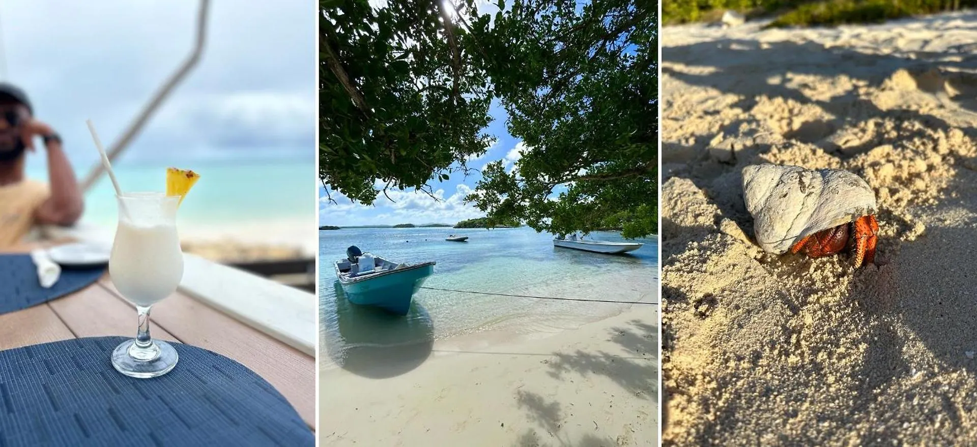 Beautiful 2 Bedroom Beach House - Nonsuch Bay Antigua ve Barbuda
